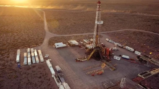 La petrolera busca incorporarse al régimen de incentivos para grandes inversiones de Argentina con un proyecto en Neuquén