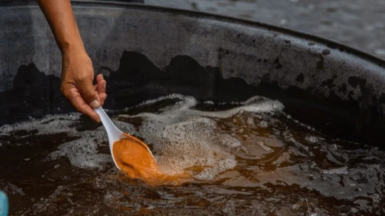 Ecuador aún debe importar 700 toneladas anuales de materia prima desde EE.UU. y Rusia