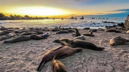 Busca equilibrar la conservación ambiental con el crecimiento económico del archipiélago