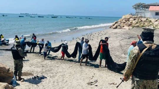 Las inspecciones se concentran en la Costa y apuntan a pesca en veda, uso de artes prohibidas y fallas en la trazabilidad