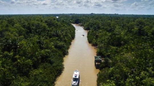 La iniciativa se formalizó en la cumbre climática de la ONU, la COP30