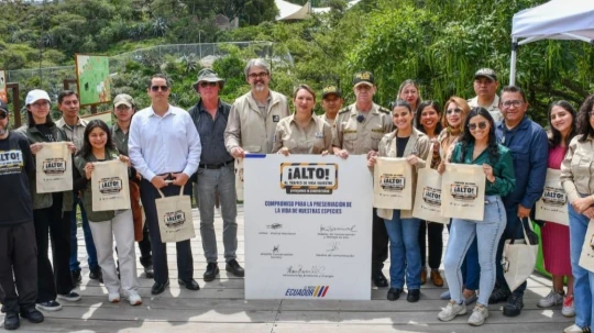 Las incautaciones se han realizado principalmente en Pichincha, Imbabura, Napo, Orellana, Sucumbíos, Pastaza y Guayas