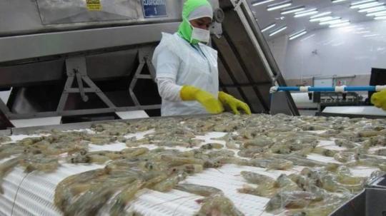 Las principales noticias del día de hoy en Ecuador