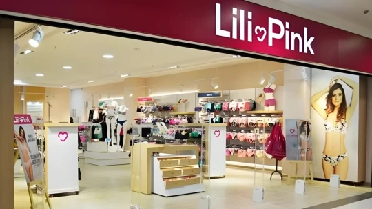 Lili Pink, enfrenta un proceso por presunto contrabando y lavado de activos.