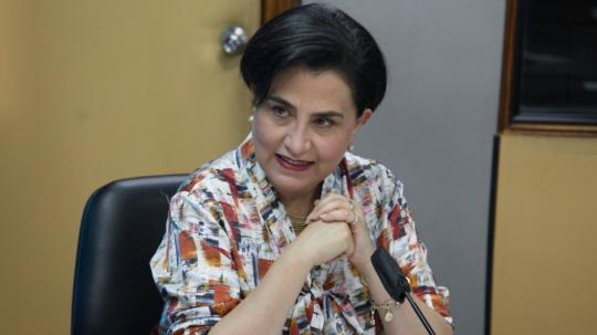 IMAGE CAPTION