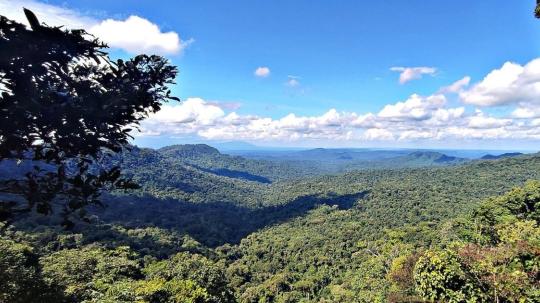 El proyecto recibe respaldo financiero y técnico de Bezos Earth Fund, Legacy Landscapes Fund y la Fundación Gordon and Betty Moore
