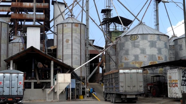 Gobierno amplía centros de acopio para la compra pública de arroz