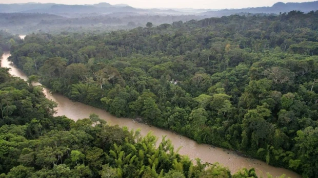 TNC contabilizó 197 especies de peces en Nushino-Curaray-Villano 