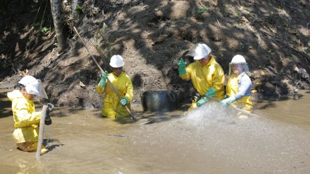 Petroecuador crea 913 empleos verdes y avanza en la recuperación ambiental