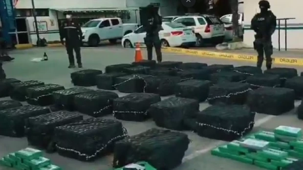 Hallan tres toneladas de droga en una finca de  Manabí