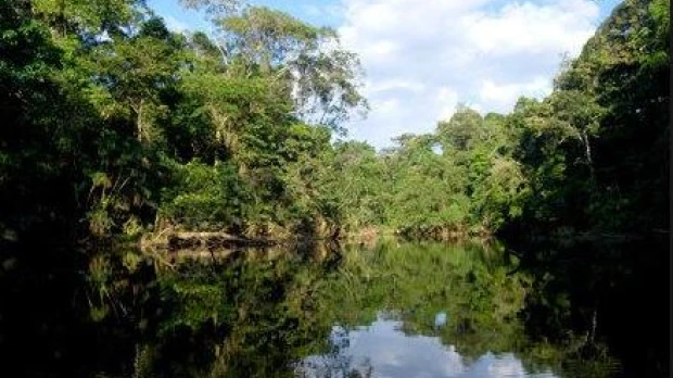 Posible visita al Yasuní crea expectativa