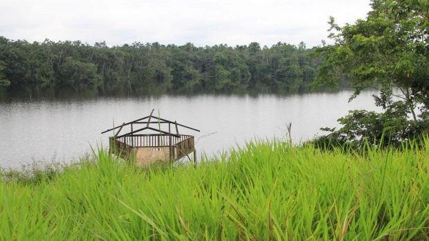Investigadores desarrollan primer modelo de pesca sostenible para la Amazonía