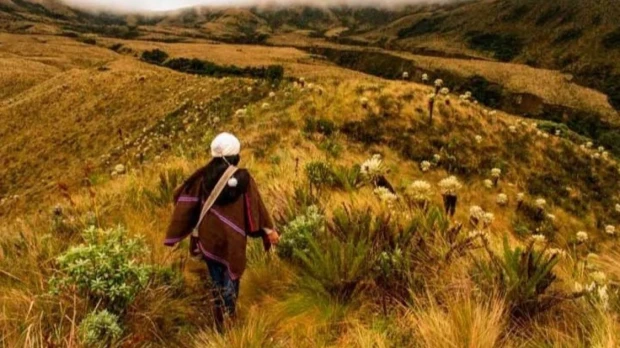 Ecuador lanzó el primer 'token' ambiental