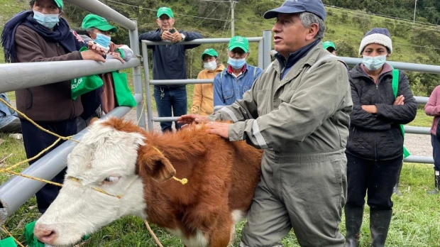 Ganaderos de Papallacta se benefician de ‘La Olla Comunitaria’