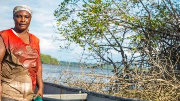 Acción comunitaria es impulsada para proteger el manglar en Ecuador