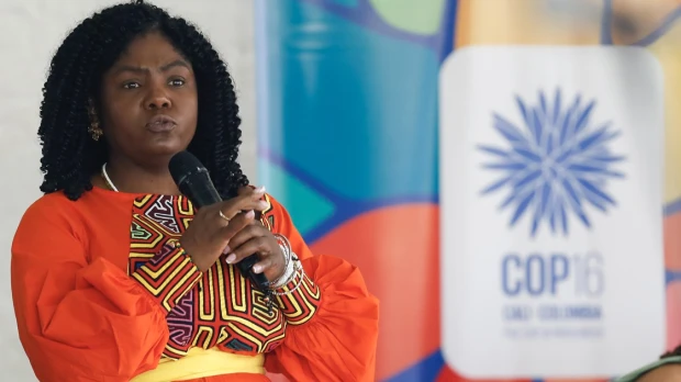 Ecuador condenó ataque contra la vicepresidenta de Colombia