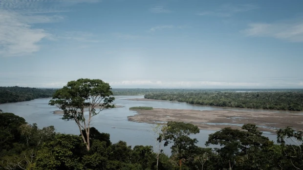 30 mil hectáreas de bosques fueron conservadas por emprendimientos indígenas 