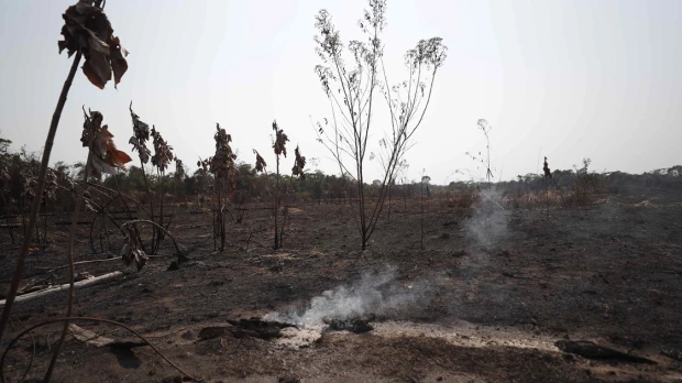 Unicef: Una sequía sin precedentes afecta a más de 420.000 niños en la Amazonía
