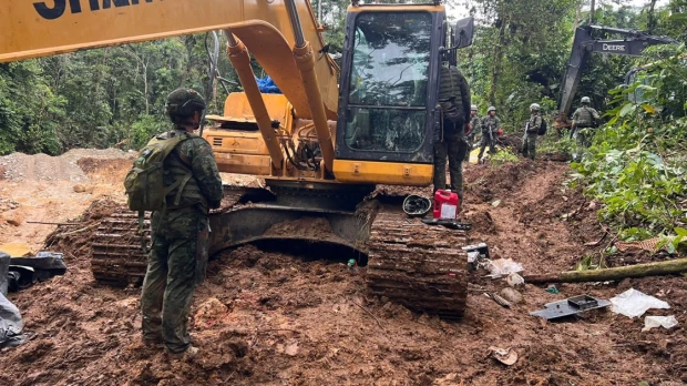 Países se unen para combatir delitos ambientales en la Amazonía