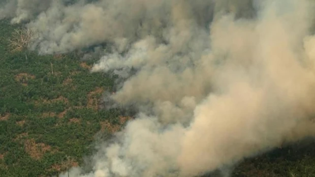 La Amazonía está en riesgo de colapso climático para 2050