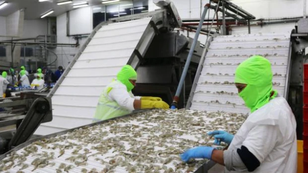 El BCE estimó que la cifra de crecimiento del 2019 será negativa por el paro de octubre