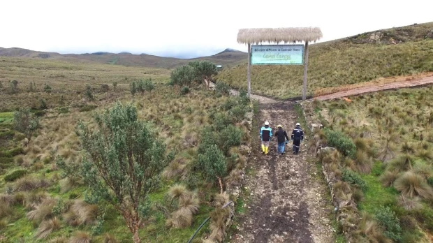 DPM evalúa acciones legales tras la revocatoria ambiental