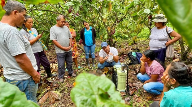 Napo: Productores de cacao en Pano fueron capacitados