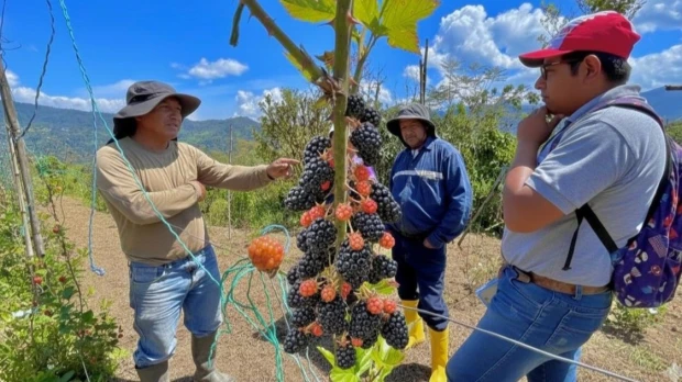 Productores de El Chaco exploran acuerdos de venta directa