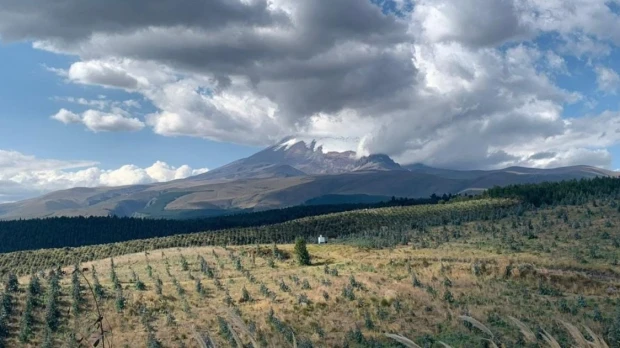 Ecuador destinó USD 1,09 millones para impulsar plantaciones forestales