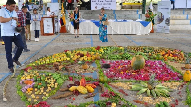 Productores de Zamora Chinchipe intercambiaron semillas nativas