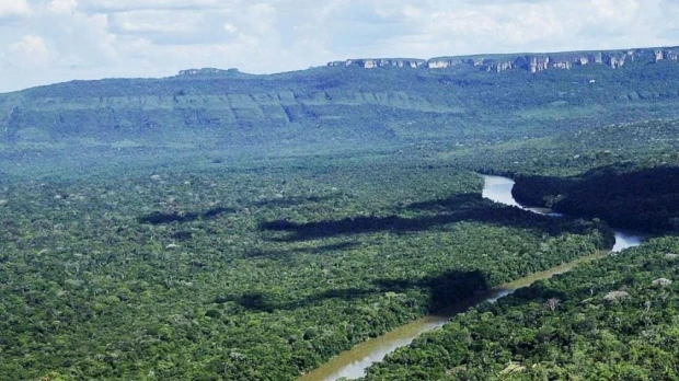 Deforestación pone en riesgo la conectividad ecológica de parque clave en Colombia