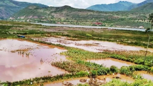 Lluvias intensas en Ecuador dejan pérdidas millonarias en el sector agrícola 