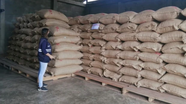 El boom del cacao ha atraído la atención del crimen organizado