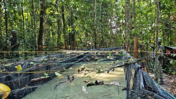 Las Fuerzas Armadas descubrieron acople clandestino en Pacayacu  