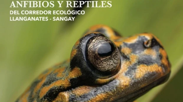 Guía sobre corredor Llanganates-Sangay será presentada