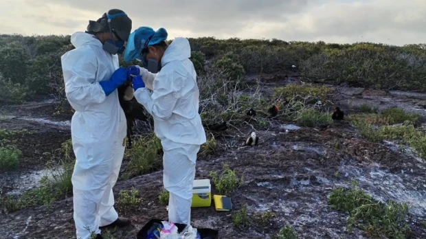 Autoridades evalúan reapertura al turismo de Isla Genovesa