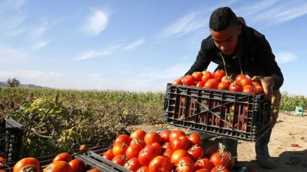 Israel y EE.UU. lideraron las plazas de migración circular en 2025