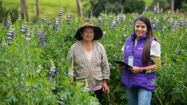 El Registro Nacional Agropecuario inició en seis provincias