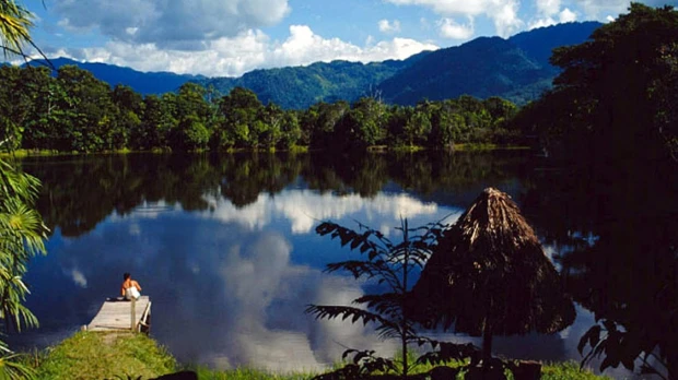 La ONU premia a un proyecto medioambiental peruano que rehabilita bosques en los Andes