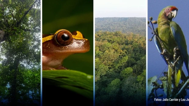 La Reserva Río Anzu se convierte en la primera OMEC de Ecuador 