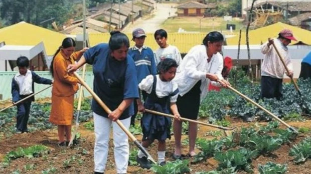 Las mipymes concentran el 54 % del empleo en las empresas de Ecuador 