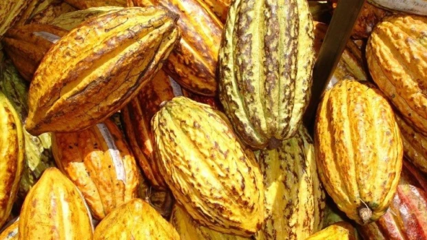 Agroexportaciones: Ecuador compite, pero con desventaja