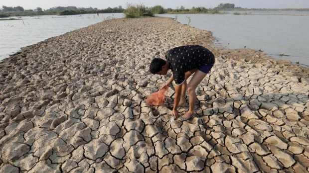 'El Niño' y 'La Niña' alteran el equilibrio de los ecosistemas marinos y la pesca 
