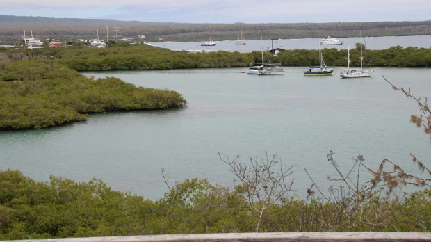 La Armada de Ecuador rescata a 9 turistas de embarcación que se varó en las Galápagos
