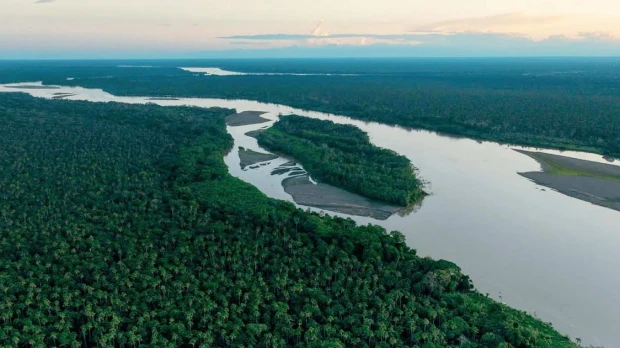 Perú: Se creó comité para conservar el humedal más grande de la Amazonía