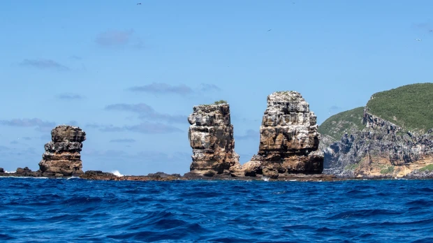 Ecologistas exigen a China que deje de botar basura cerca de las Galápagos 
