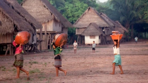 Guardias indígenas de la Amazonía se refuerzan ante crecientes riesgos territoriales