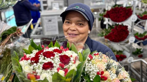 Envíos de 39.000 toneladas de flores marcan la temporada de San Valentín para Ecuador