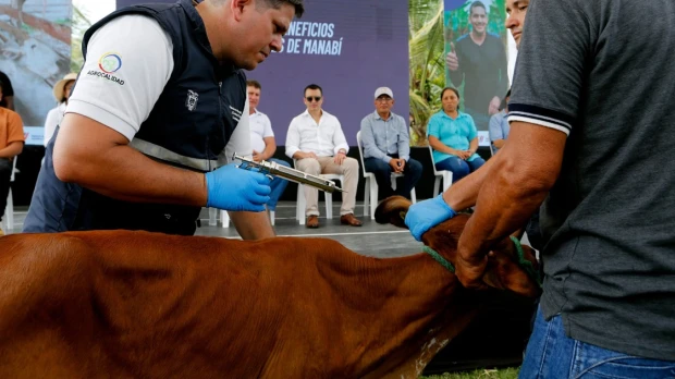 Gobierno anunció campaña contra la fiebre aftosa