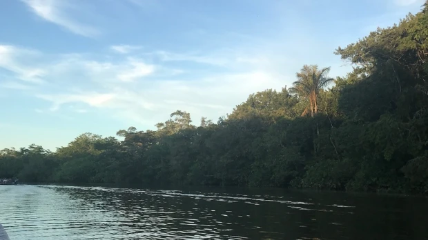 Ecuador considera nuevos canjes de deuda por conservación ambiental